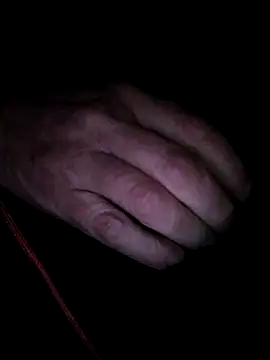 Snapshot of Sebgeneve chatting on 02.08.26 Sebgeneve online show from 02.08.26