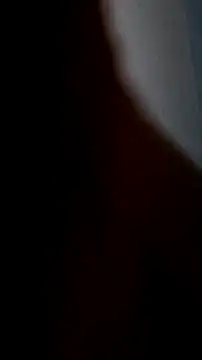 chichibirdd online show from 11.25.25