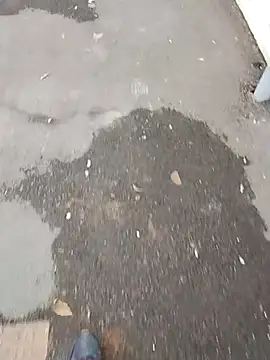 NovelPastime6 online show from 01.14.26