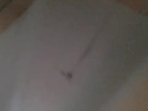 BellahG90 online show from 11.22.25