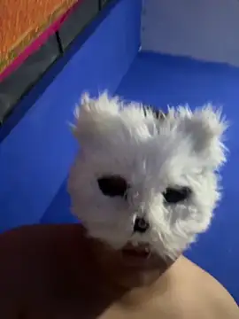 aricub online show from 12.16.25