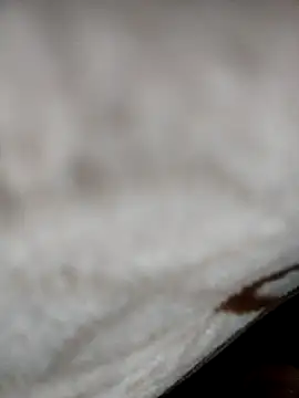 jiniya6789 online show from 01.05.26