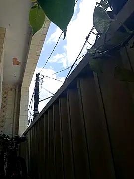 wakahoe online show from 04.08.26