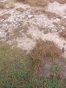 sexygosht online show from 12.01.25