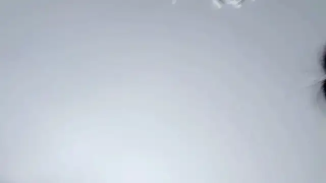 Snapshot of Celestisse- chatting on 11.29.25 Celestisse- online show from 11.29.25