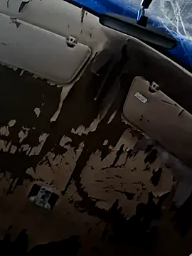 Joes cock online show from 02.22.26