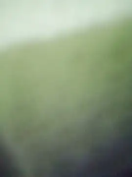 HKOOOH80 online show from 11.27.25