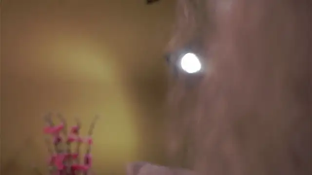 AunclreaVache online show from 03.05.26