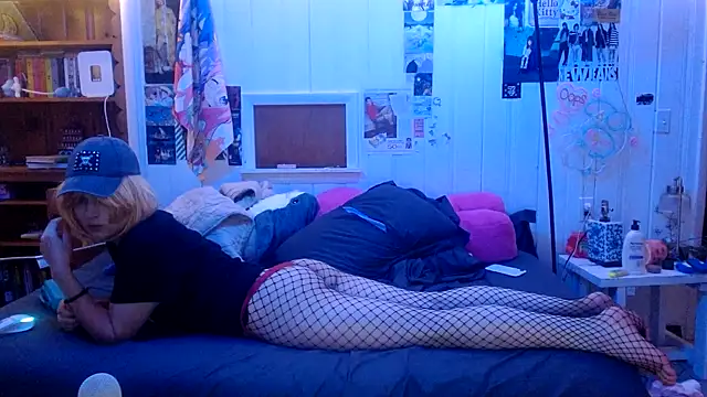 Snapshot of HamtaroFan chatting on 11.29.25 HamtaroFan online show from 11.29.25