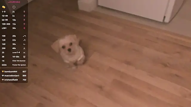 MePretty online show from 03.23.25