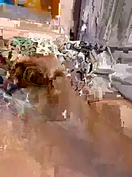 en93000 online show from 04.07.26