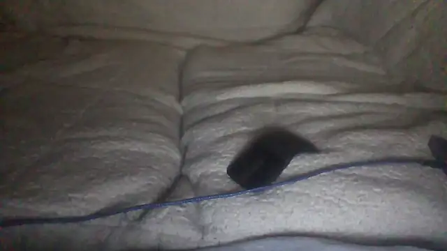 moneymaker50 online show from 12.02.25