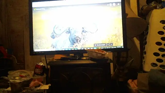 cannonball765309 online show from 03.28.26