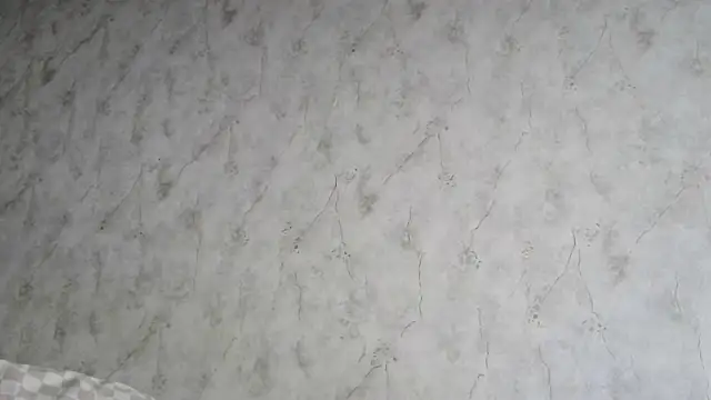 AliceWonderLure online show from 12.03.25