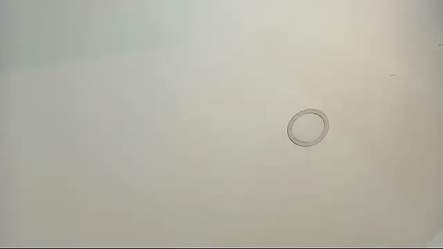 tamara walter online show from 02.13.26