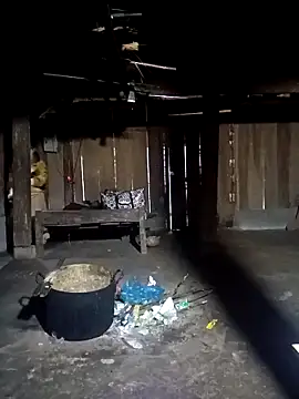 ava-dellght online show from 02.08.26