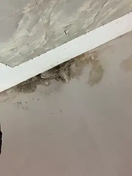 Mon babyy online show from 02.10.26