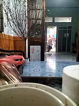 Nor6868 online show from 02.14.26