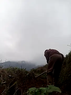 Snapshot of mon-monk chatting on 12.17.25 mon-monk online show from 12.17.25