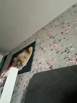 Alexmarcov online show from 04.03.26