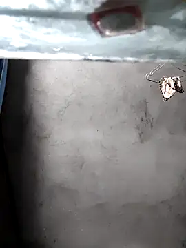 gigo-ulala online show from 12.16.25