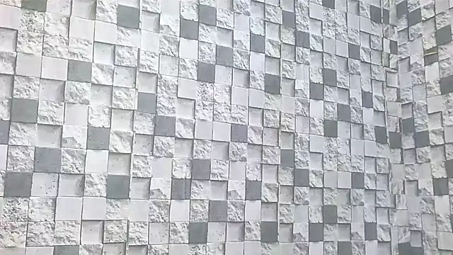 Exotic indian95 online show from 04.03.26