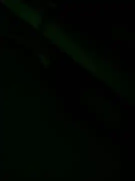 zoodangermind online show from 05.17.26