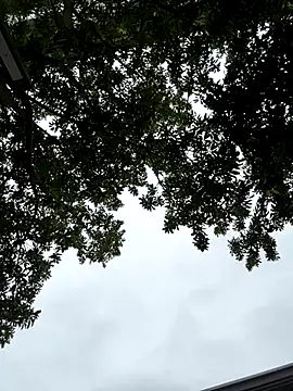 cmvoo online show from 12.21.25