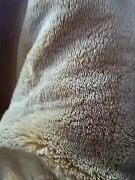 AR7v online show from 12.15.25