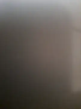 piedic online show from 03.03.26