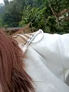 Chinchink2 online show from 12.15.25