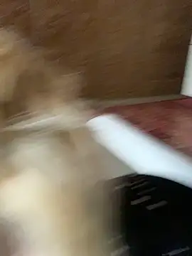 Barbika19 online show from 03.09.26