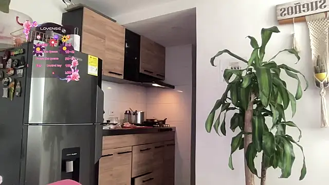 isa fox 23 online show from 02.09.26