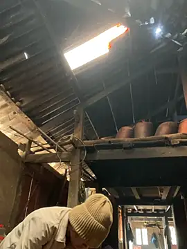 Nika-be online show from 01.13.26