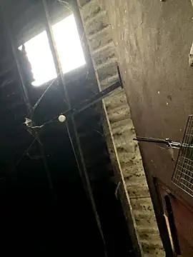 Nika-be online show from 01.17.26