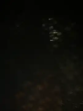 Nika-be online show from 03.29.26