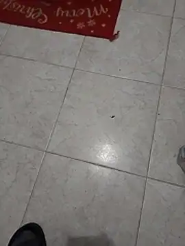 Mar81 online show from 01.12.26