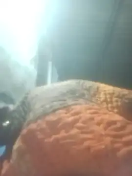 Snapshot of Pinki_rajak chatting on 01.11.26 Pinki rajak online show from 01.11.26