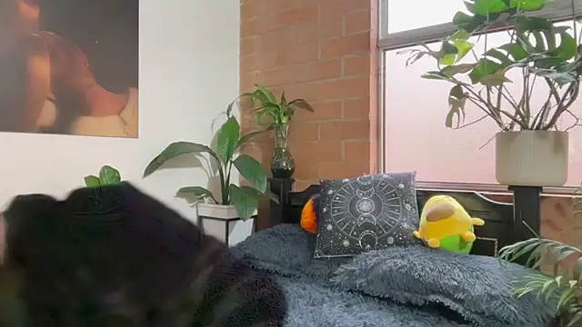 Snapshot of Andy_Belier23 chatting on 02.20.26 Andy Belier23 online show from 02.20.26