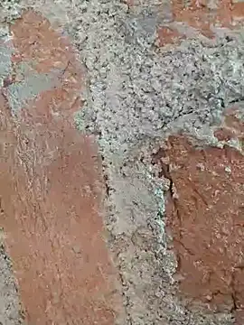 Soniya5533 online show from 12.14.25