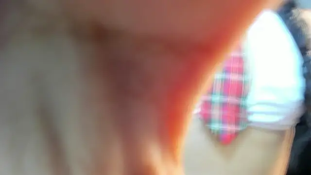 valeria dark  online show from 01.17.26