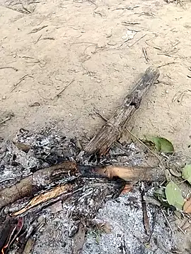 rahulsexybhabhi online show from 12.18.25