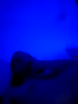 vladopen online show from 01.07.26