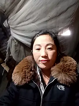 seacyre online show from 01.11.26