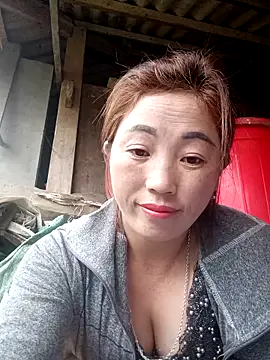 seacyre online show from 03.17.26