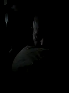 K9handler1 online show from 12.16.25