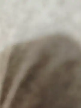 Snapshot of Indian_groupxxx chatting on 12.16.25 Indian groupxxx online show from 12.16.25