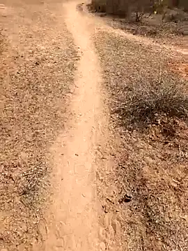 Tamilpaiyan07 online show from 02.08.26