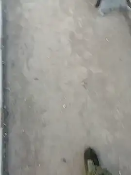 Tata and Joker online show from 03.24.26