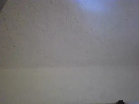 zandyplus online show from 04.03.26